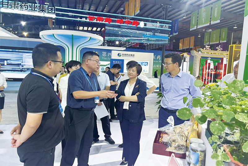 我公司设计施工的陇南馆亮相第四届中国（甘肃）中医药工业展览会